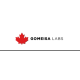 Gomeisa Labs